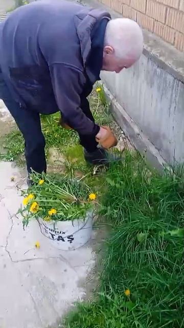 1000079574.mp4