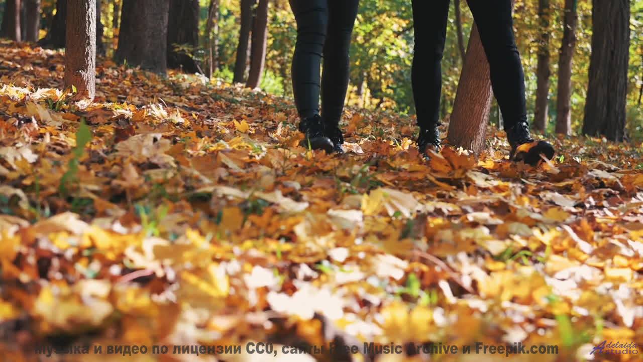 Вы не видели зиму такой, пока не услышали этот трек! - Chainlink Melody -- Podington Bear -- Said Li