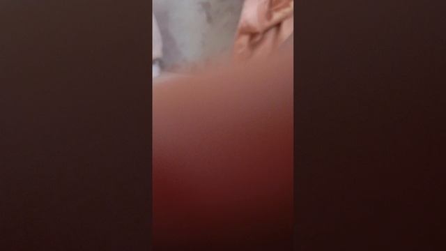 жизнь маленького котёнка часть 1