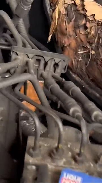 И где купить такой экофильтр под замену?