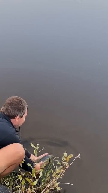 Поймал, отпустил, кайфанул...)))