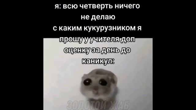тикток надел пиджак (подборка мемов)
