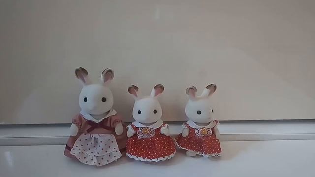 МОЯ КОЛЛЕКЦИЯ 2019 Сильваниан Фэмилис. My Collection Sylvanian Families