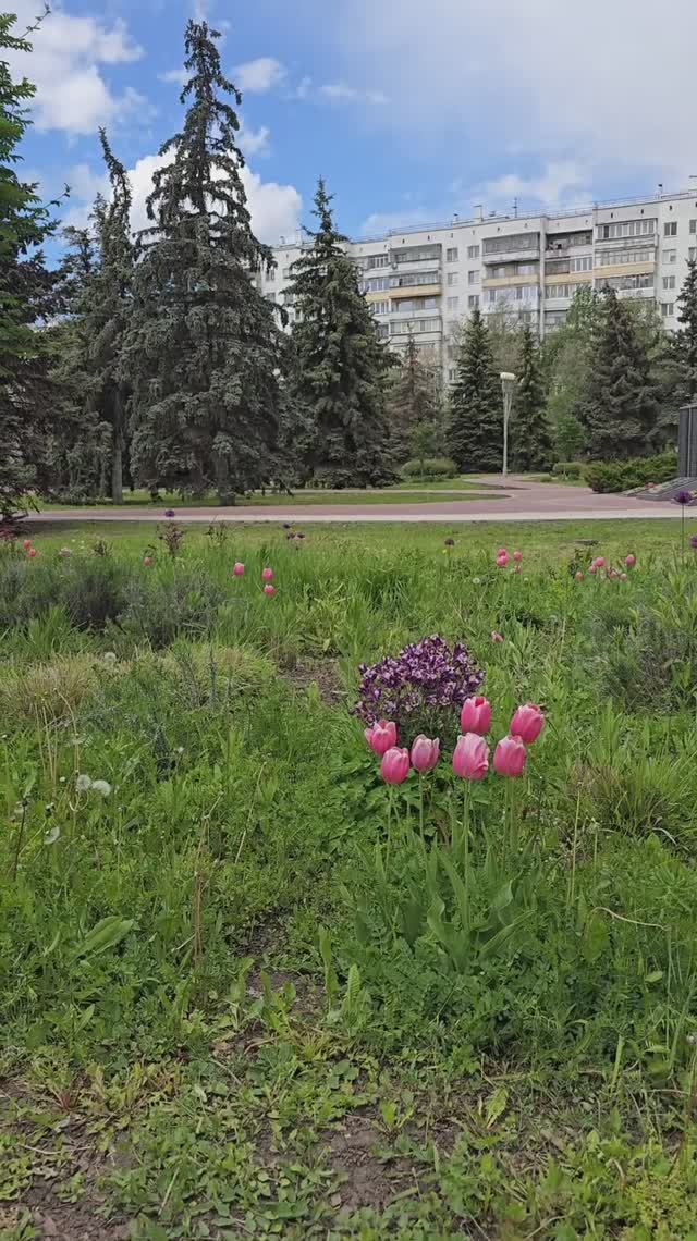 У музея диорамы"Курская Битва" в Белгороде