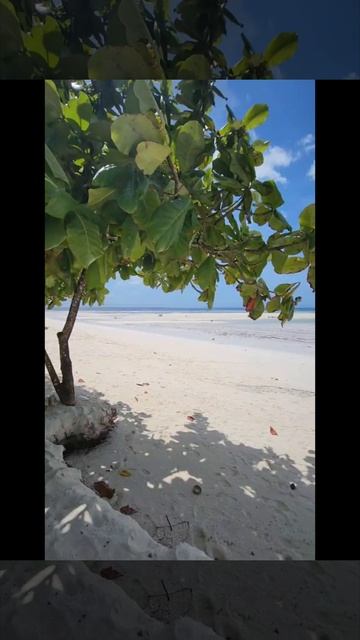 Отель Neptune Pwani 5* Танзания