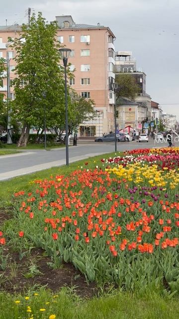🌷🌷🌷Площадь Горького🌷🌷🌷