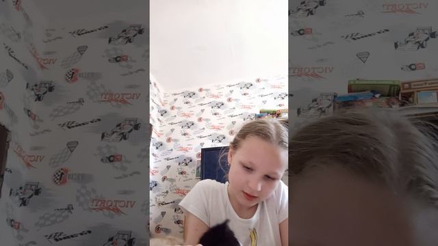 Котята