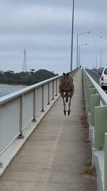 Посмеемся (644)