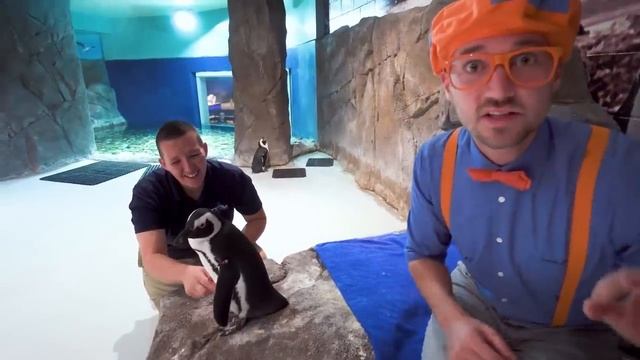Блиппи (Blippi) -Блиппи в Детском Центре嵐   Обучающие видео для детей   Blippi Russian