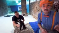Блиппи (Blippi) -Блиппи в Детском Центре嵐 Обучающие видео для детей Blippi Russian