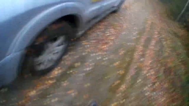 Дорогой "Тысяча ручьев"