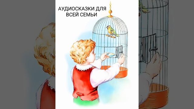 ПТИЧКА