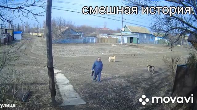 Про сбежавшие сапоги и вернувшиесь галоши😂