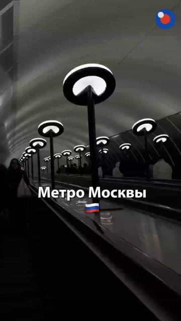Трамп! Хватит следить за Путиным. Последи лучше для начала за метро в своём Нью-Йорке 😂 !!!