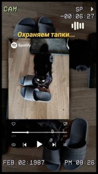 Буська охраняет тапочки.