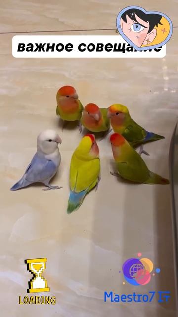 💡 Важное совещание