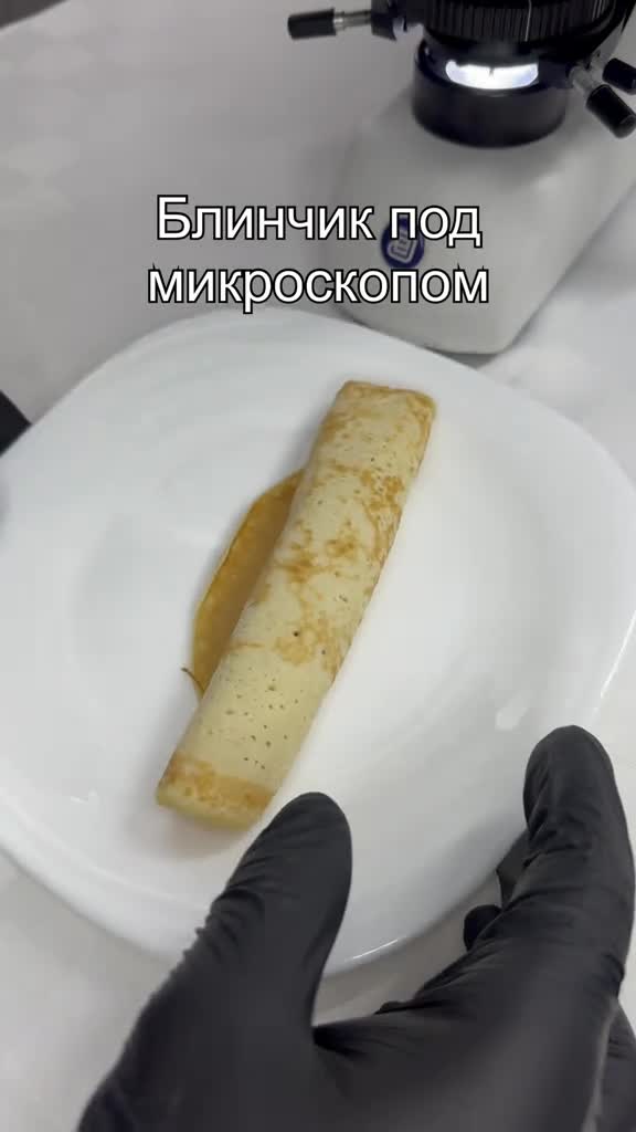 #наука #интересно #микромир #микроскоп #подмикроскопом