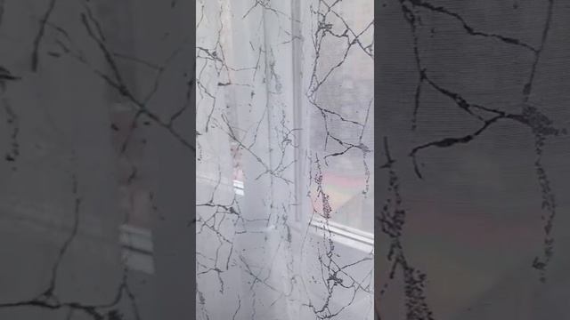 1000659663.mp4