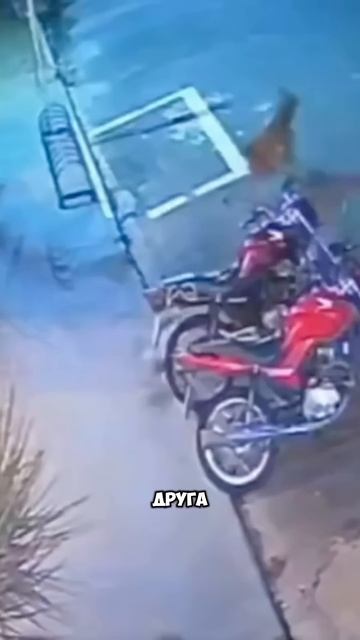 Помог своему другу