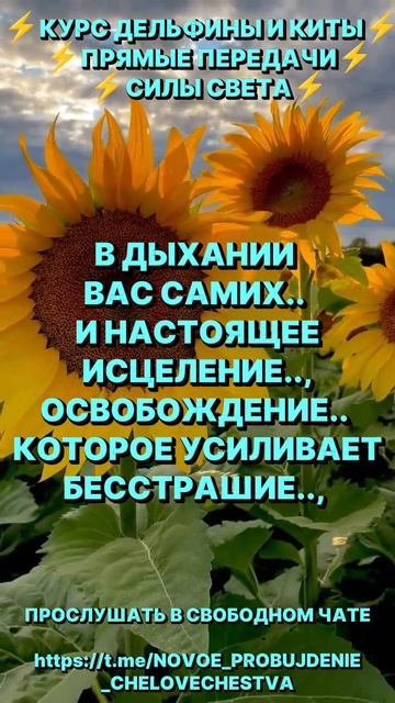 1000000142.mp4