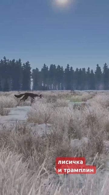 Лисичка   #dayz #неудержимые #namalsk #аномальск  #shorts