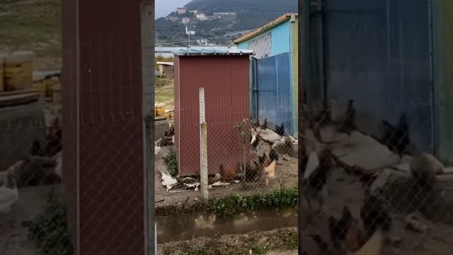 Матрица — наш враг_ но кого мы видим вокруг😂📢💬