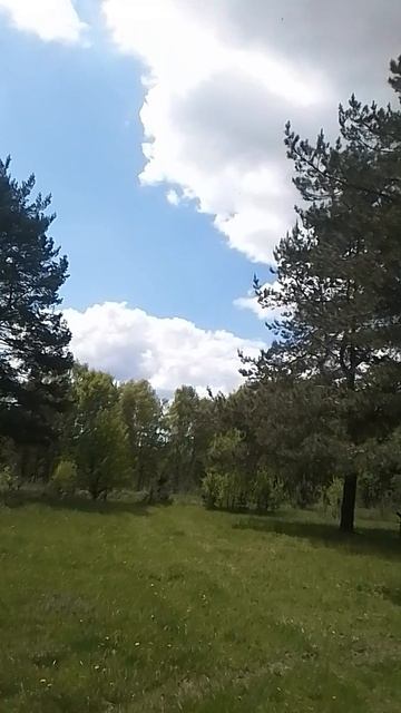 VID_20250514_114916.mp4