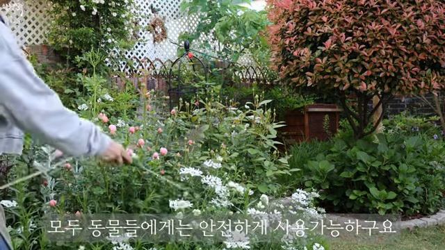 сад🌺🌷