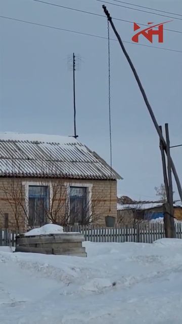 Не птица, да и не летает