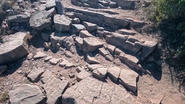 ЮАР. Кейптаун безопасный город? Встретил тюленей и пин