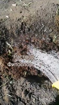 Подготовка грядки под огурцы