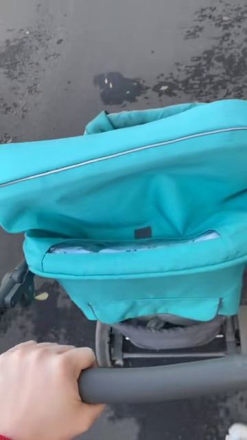 Белладонна Милославская (1079)