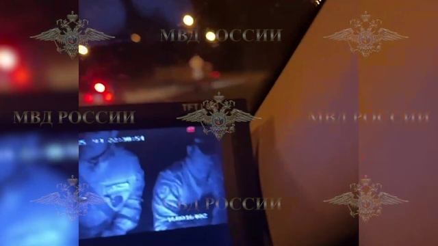 Ирина Волк: На Кубани полицейские применили огнестрельное оружие для задержания лихача