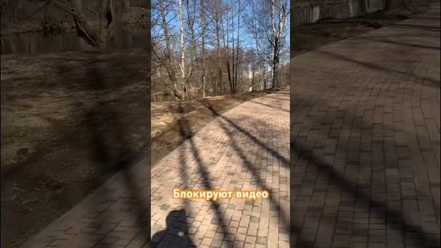 О странной политике авторских прав