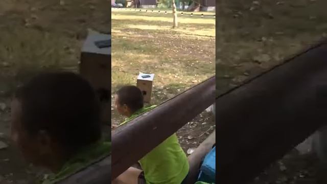 День рождения внучки
