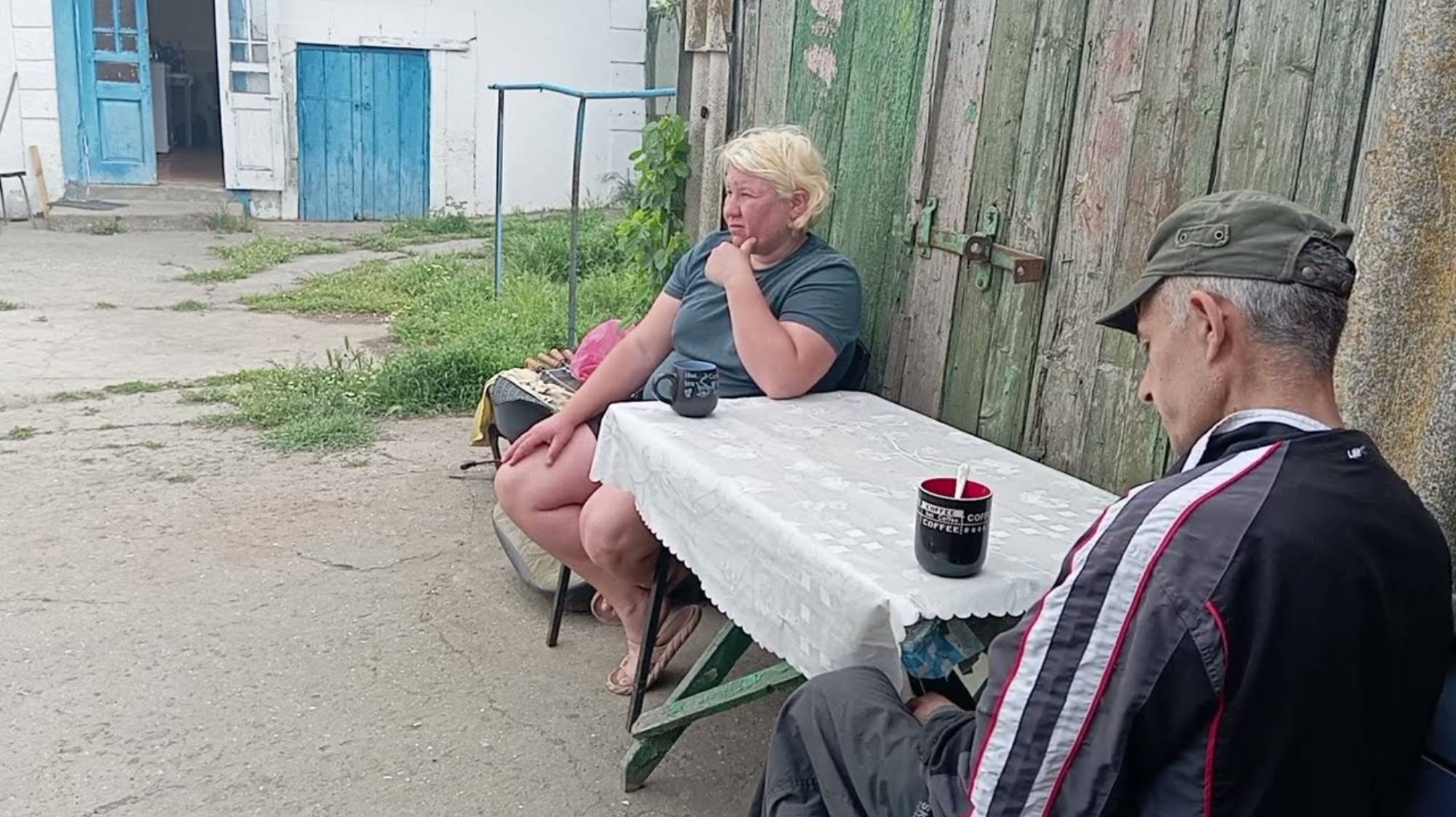 НАТАЛЬЯ ГУБАРЕВА. НАТЯНУЛИ С КОЛЕЙ СЕТКУ НА ЗАБОР
