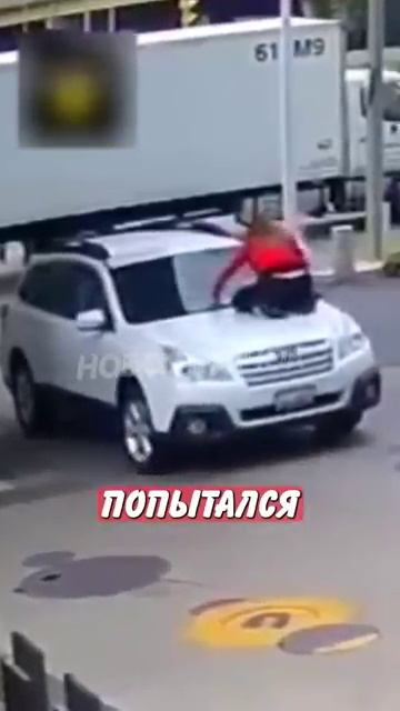 Новостничок (17)