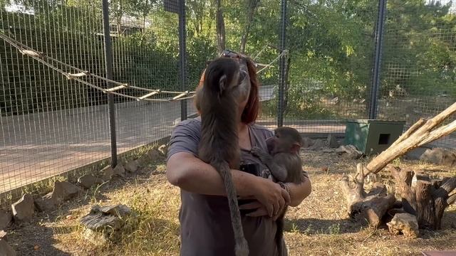 Татьяна Алексагина одной рукой держит Маню, а другую руку кусает Стёпа! Маня мамина, а Степа папин!