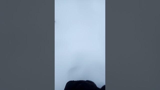 По снегу босиком  9 декабря 2024 года