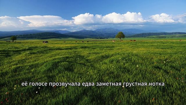 От подвала до ВДВ: как рваные ботинки на скотче привел?