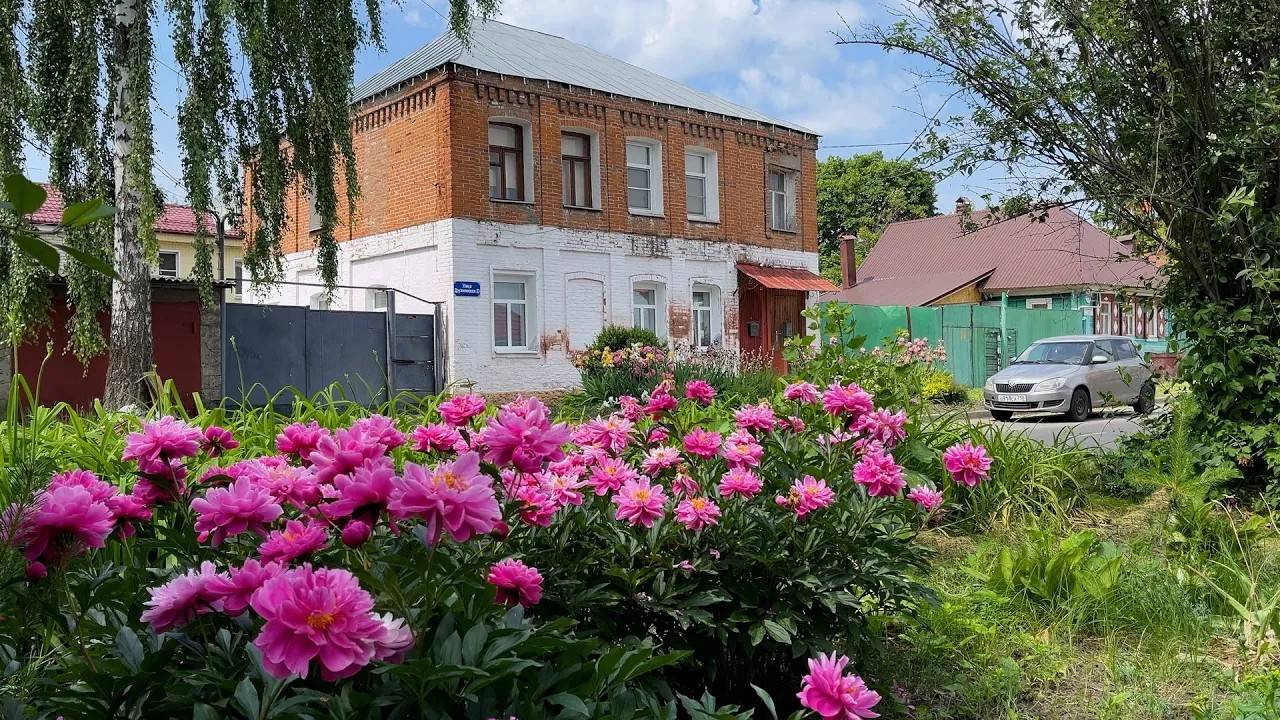 Городские цветы. Курск.