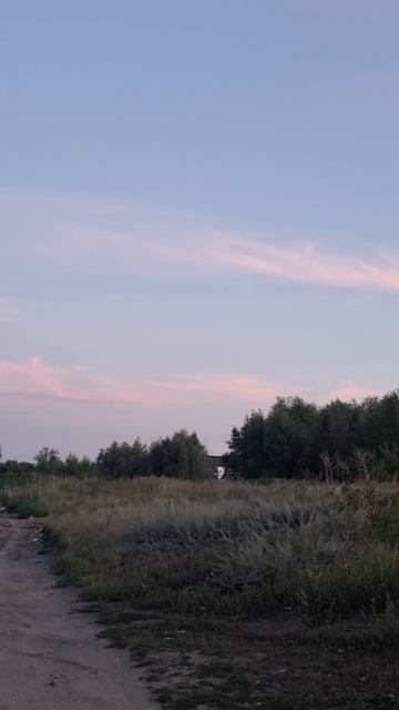 красота