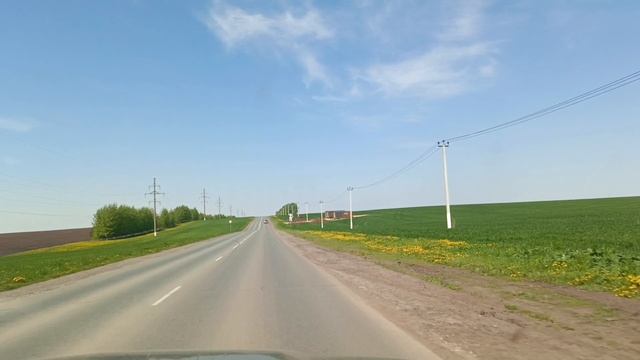 Приятные хлопоты по благоустройству двора - обновила скамейку и дорожку. Мои птички 🪿🐔🦆🐦.