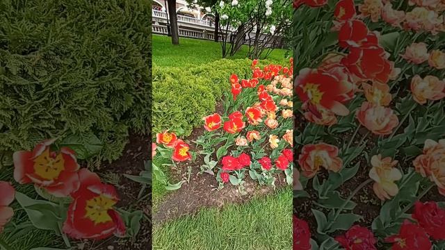 Манежная Площадь