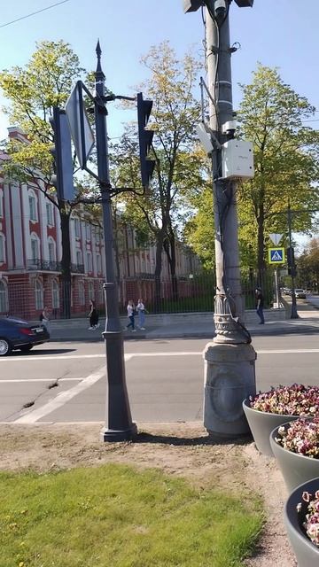 Здание Двенадцати коллегий (СПбГУ), Петербург. 19 мая 2024.