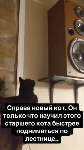 🙀А что так можно было?