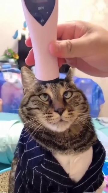 Мешок с картошкой #27