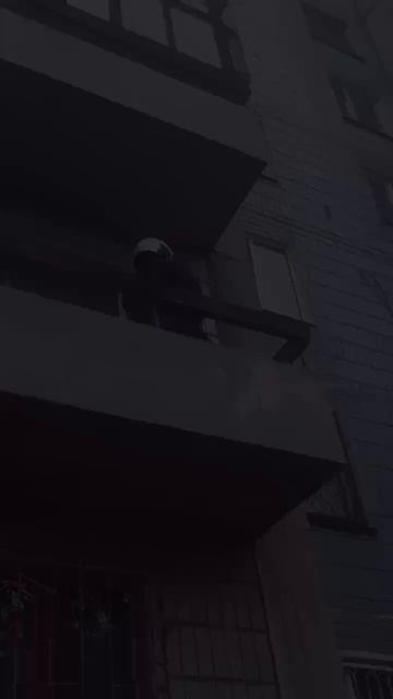 Спасение кота