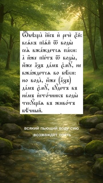 #перевод ТГ https://t.me/pervuyuknigufeofil