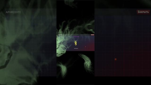 1000082167.mp4